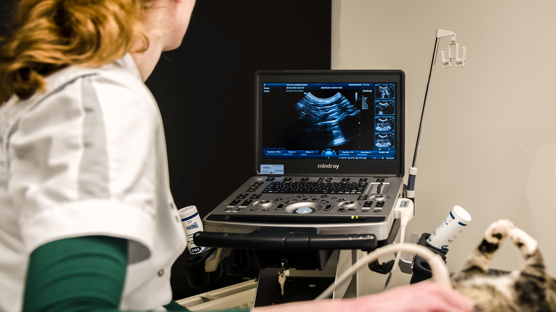 Echografie | EDZ Zuidoost Brabant