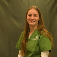 Britt - Paraveterinair