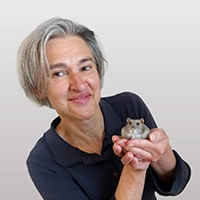 Hanneke Knops - Gezelschapsdierenarts