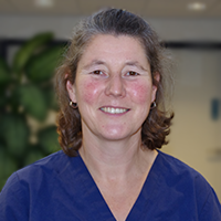 Ivonne van Zanten - Paraveterinair