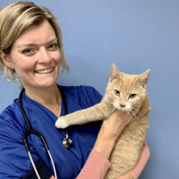 Kim Zegers - Dierenarts