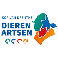Gine Veenhuis