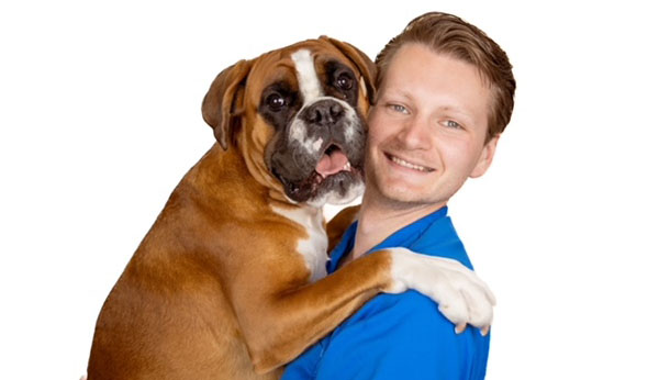 Daan Zijlstra