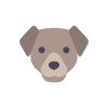 Honden