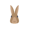 Konijnen en knaagdieren