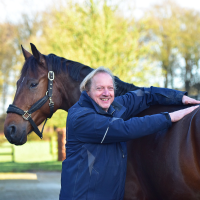Gertjan - Paardenarts