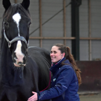 Zoë - Paardenarts