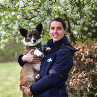 Annette Dijkstra - Paardenarts