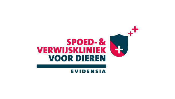 Avondklok