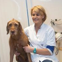Cathy van Hoorn - Dierenarts