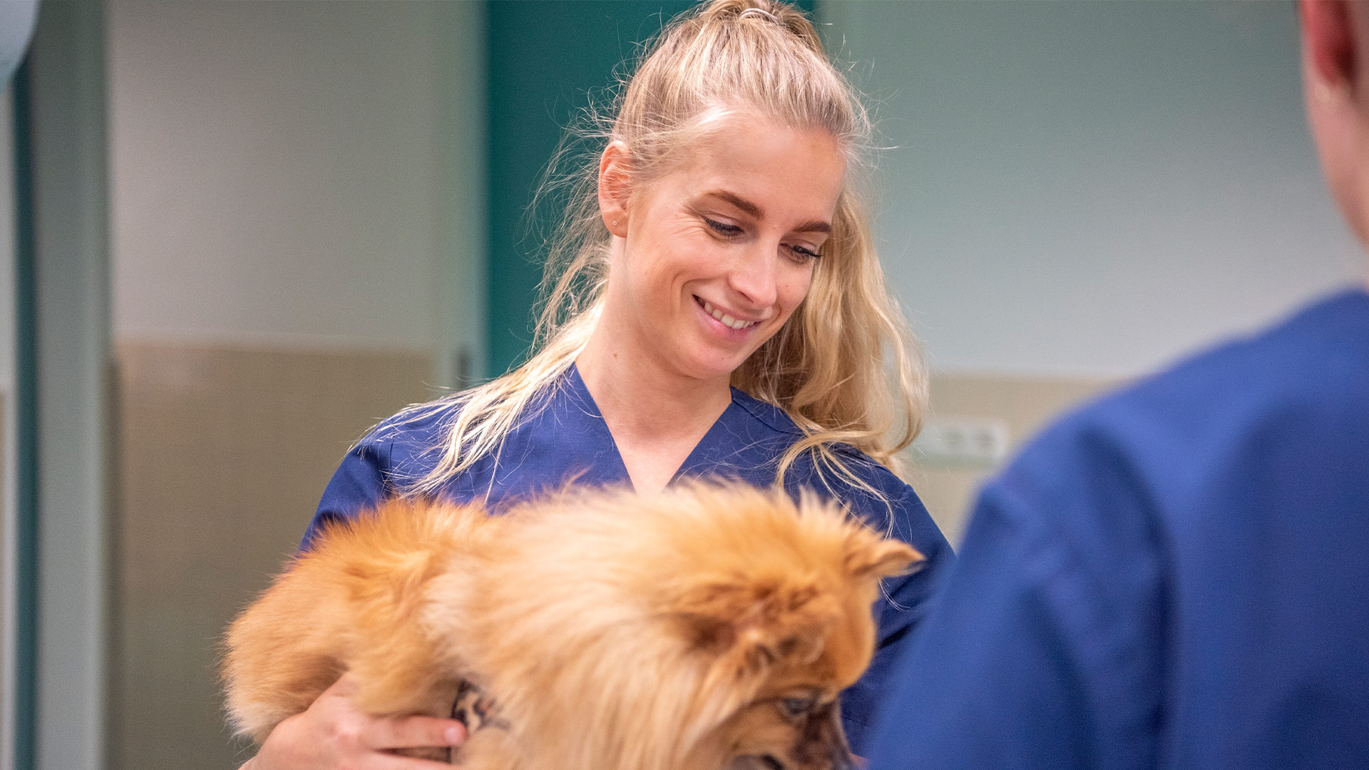 Wie Zijn Wij Veterinair Centrum Zuid Holland Wie Zijn Wij Veterinair Centrum Zuid Holland
