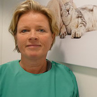 Evelyne Ledeboer - Dierenarts Tandheelkunde & Orthodontie